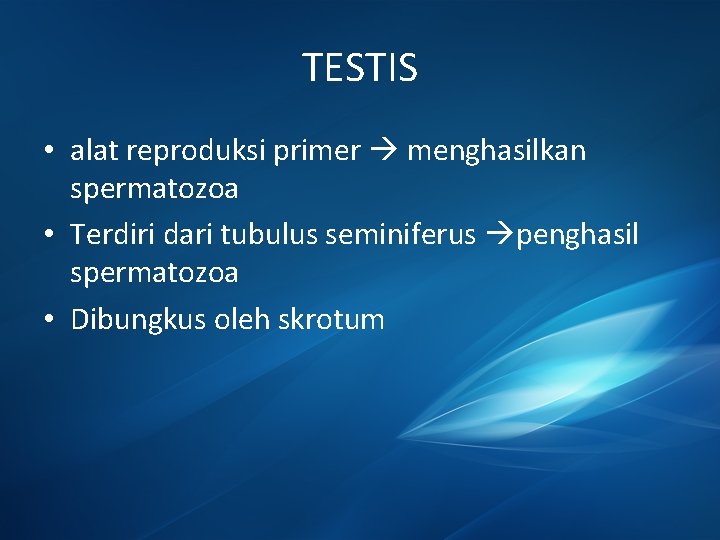 TESTIS • alat reproduksi primer menghasilkan spermatozoa • Terdiri dari tubulus seminiferus penghasil spermatozoa