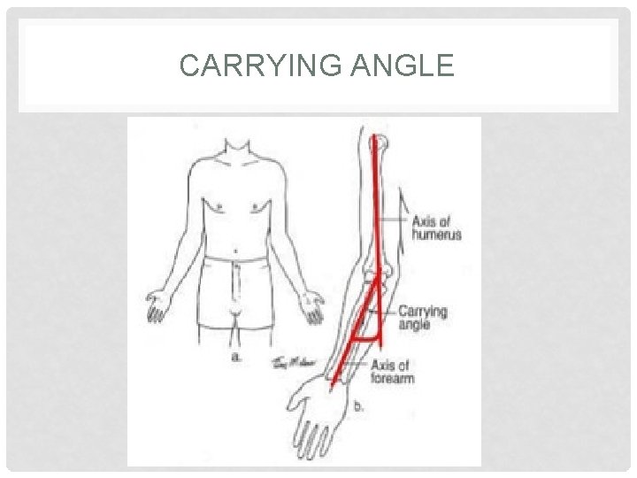 CARRYING ANGLE 