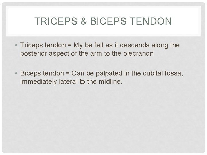 TRICEPS & BICEPS TENDON • Triceps tendon = My be felt as it descends