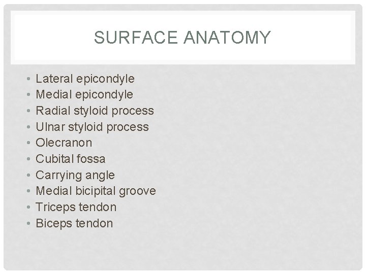 SURFACE ANATOMY • • • Lateral epicondyle Medial epicondyle Radial styloid process Ulnar styloid
