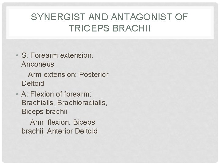 SYNERGIST AND ANTAGONIST OF TRICEPS BRACHII • S: Forearm extension: Anconeus Arm extension: Posterior