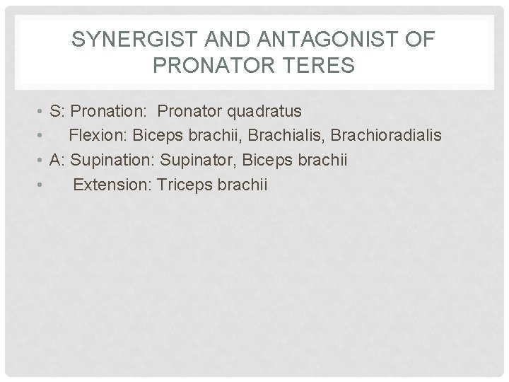 SYNERGIST AND ANTAGONIST OF PRONATOR TERES • S: Pronation: Pronator quadratus • Flexion: Biceps