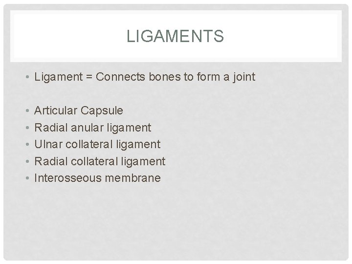 LIGAMENTS • Ligament = Connects bones to form a joint • • • Articular