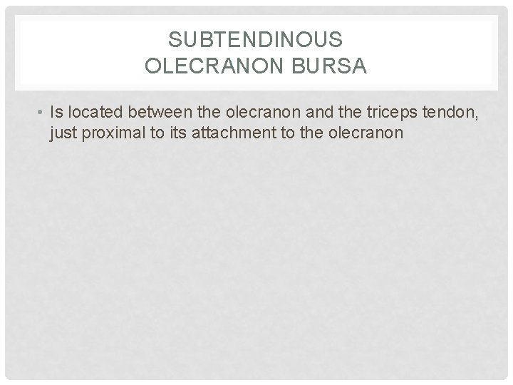 SUBTENDINOUS OLECRANON BURSA • Is located between the olecranon and the triceps tendon, just