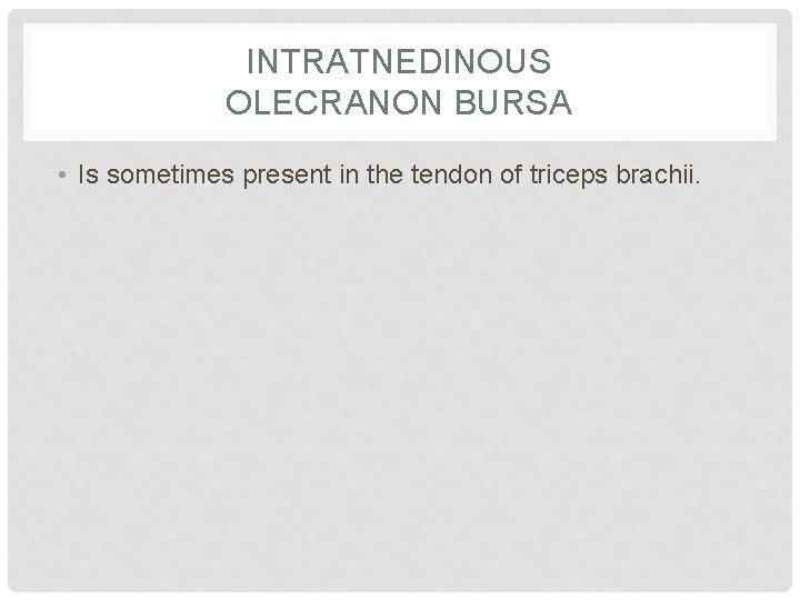 INTRATNEDINOUS OLECRANON BURSA • Is sometimes present in the tendon of triceps brachii. 