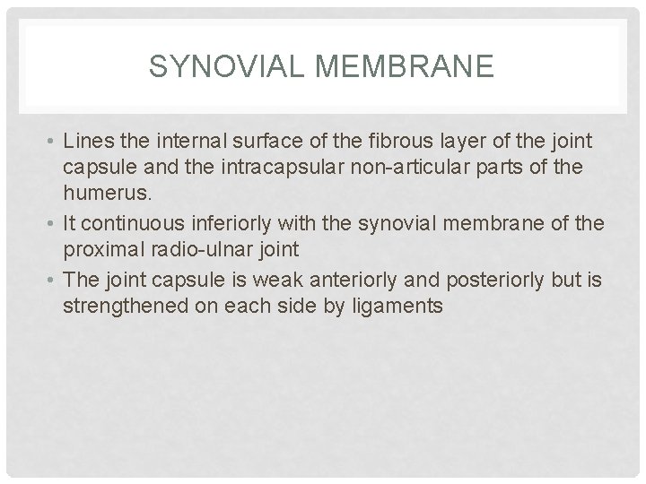 SYNOVIAL MEMBRANE • Lines the internal surface of the fibrous layer of the joint