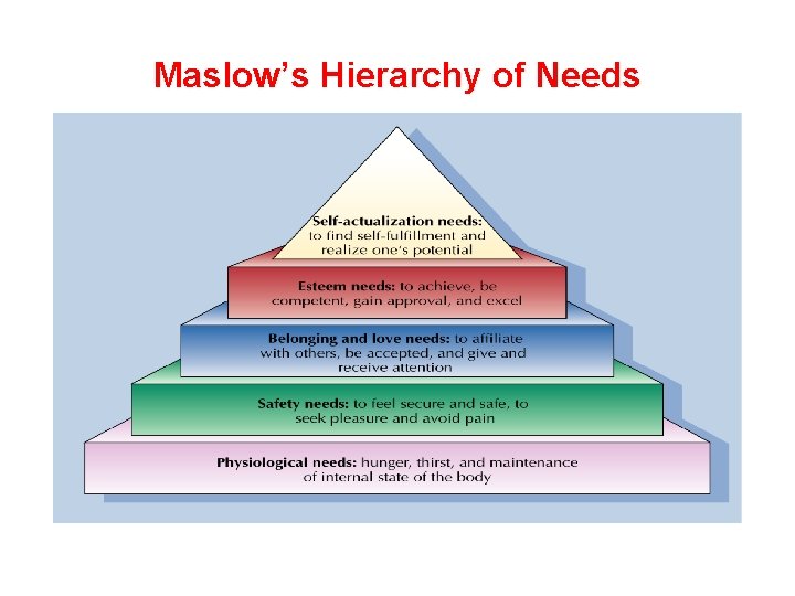 Maslow’s Hierarchy of Needs 