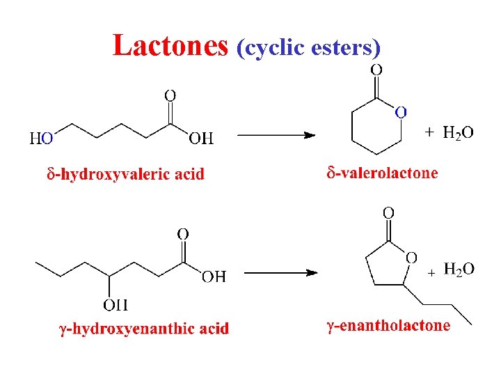 Lactones (cyclic esters) 