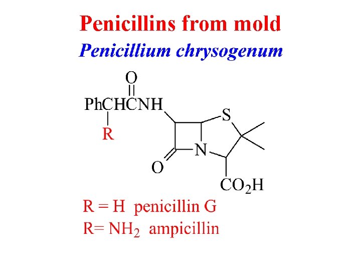 Penicillins from mold 