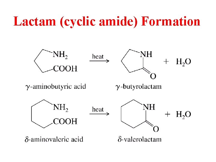 Lactam (cyclic amide) Formation 