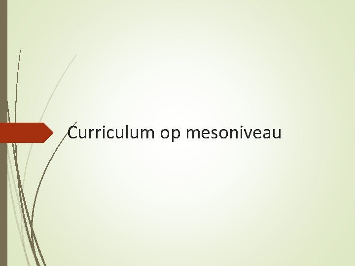 Curriculum op mesoniveau 