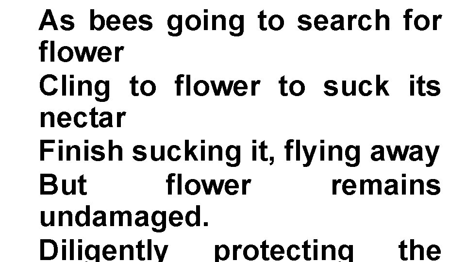 As bees going to search for flower Cling to flower to suck its nectar
