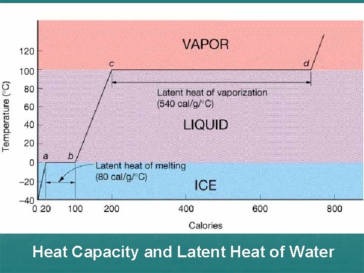 Heat Capacity and Latent Heat of Water 