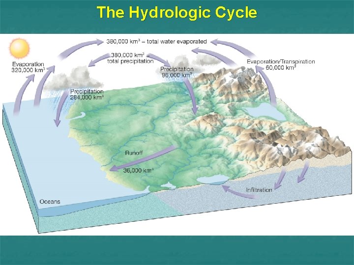 The Hydrologic Cycle 