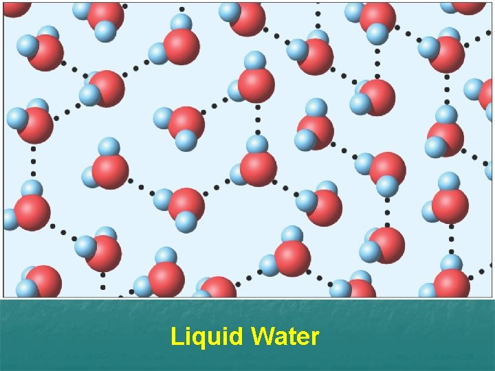 Liquid Water 