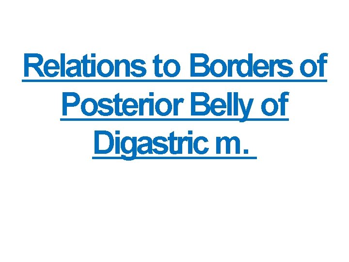 Relations to Borders of Posterior Belly of Digastric m. 