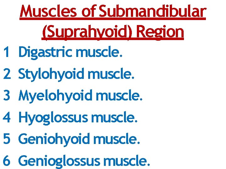 Muscles of Submandibular (Suprahyoid) Region 1 2 3 4 5 6 Digastric muscle. Stylohyoid