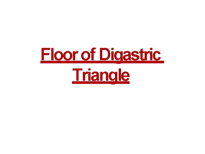 Floor of Digastric Triangle 