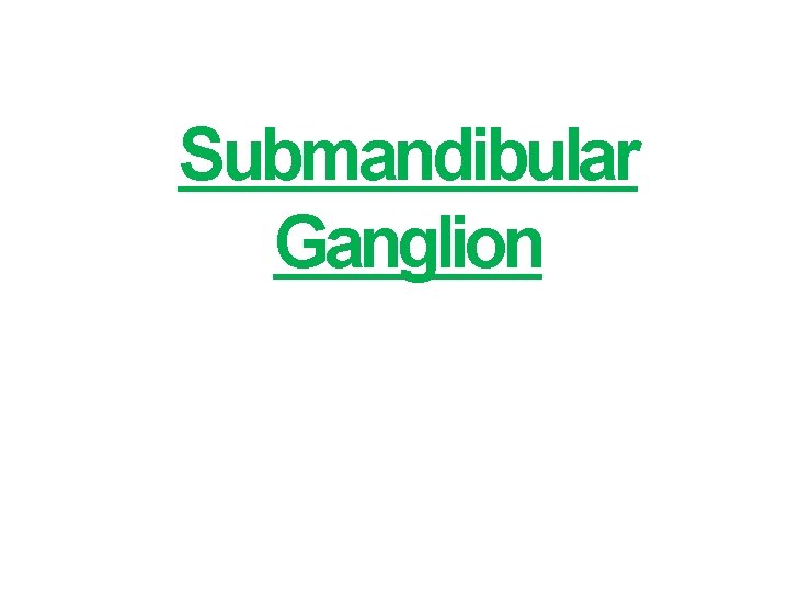 Submandibular Ganglion 