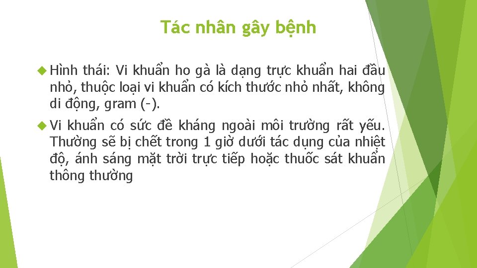 Tác nhân gây bệnh Hình thái: Vi khuẩn ho gà là dạng trực khuẩn