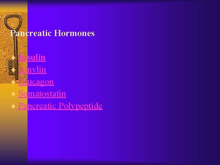 Pancreatic Hormones ¨ Insulin ¨ Amylin ¨ Glucagon ¨ Somatostatin ¨ Pancreatic Polypeptide 