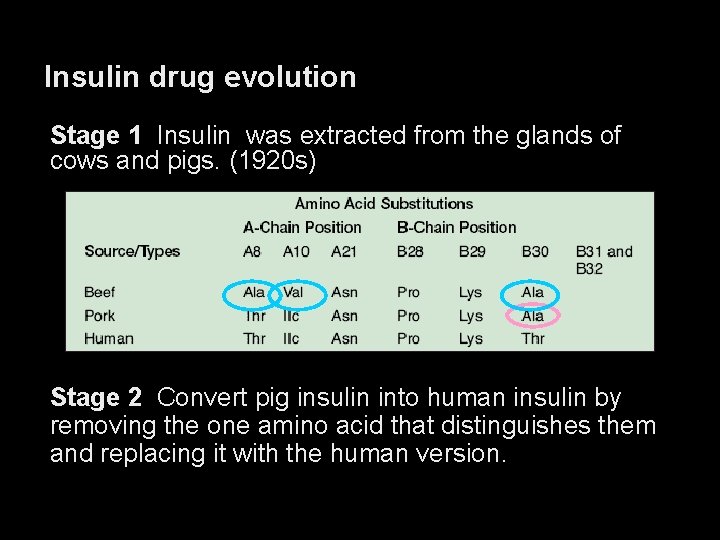 Insulin drug evolution Stage 1 Insulin was extracted from the glands of cows and