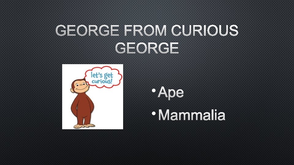 GEORGE FROM CURIOUS GEORGE • APE • MAMMALIA 