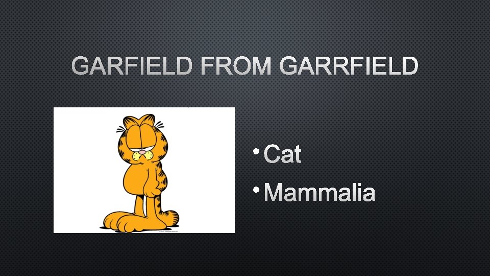 GARFIELD FROM GARRFIELD • CAT • MAMMALIA 