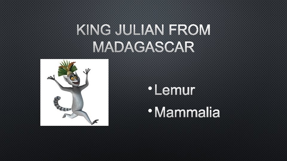 KING JULIAN FROM MADAGASCAR • LEMUR • MAMMALIA 