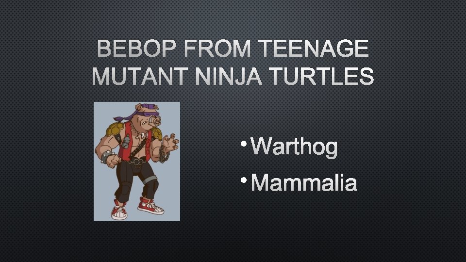 BEBOP FROM TEENAGE MUTANT NINJA TURTLES • WARTHOG • MAMMALIA 