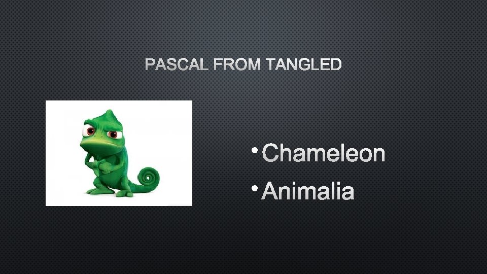 PASCAL FROM TANGLED • CHAMELEON • ANIMALIA 