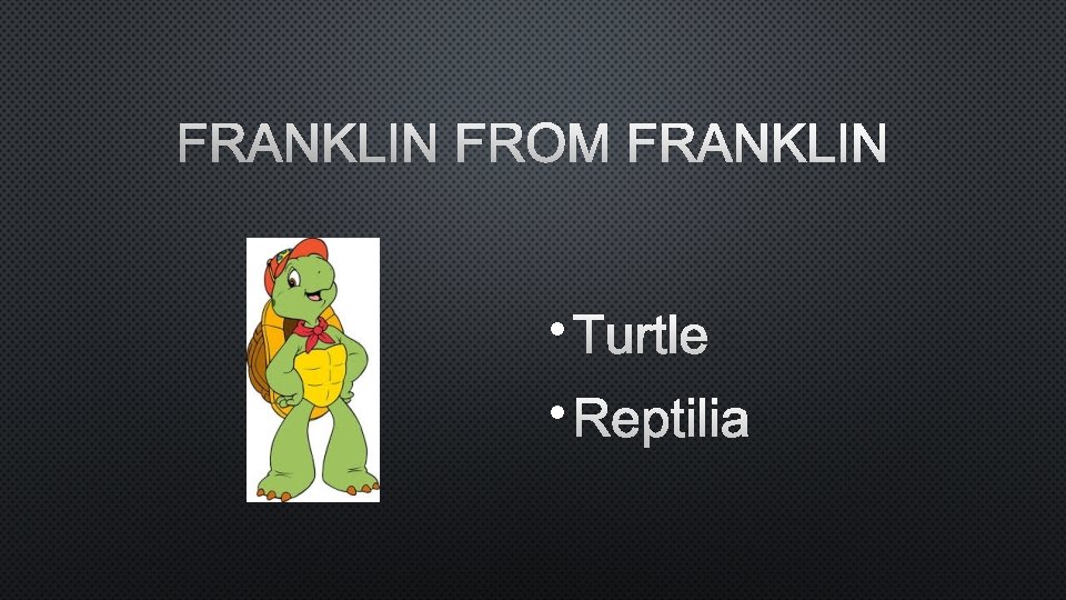 FRANKLIN FROM FRANKLIN • TURTLE • REPTILIA 