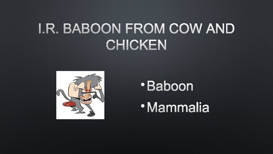 I. R. BABOON FROM COW AND CHICKEN • BABOON • MAMMALIA 