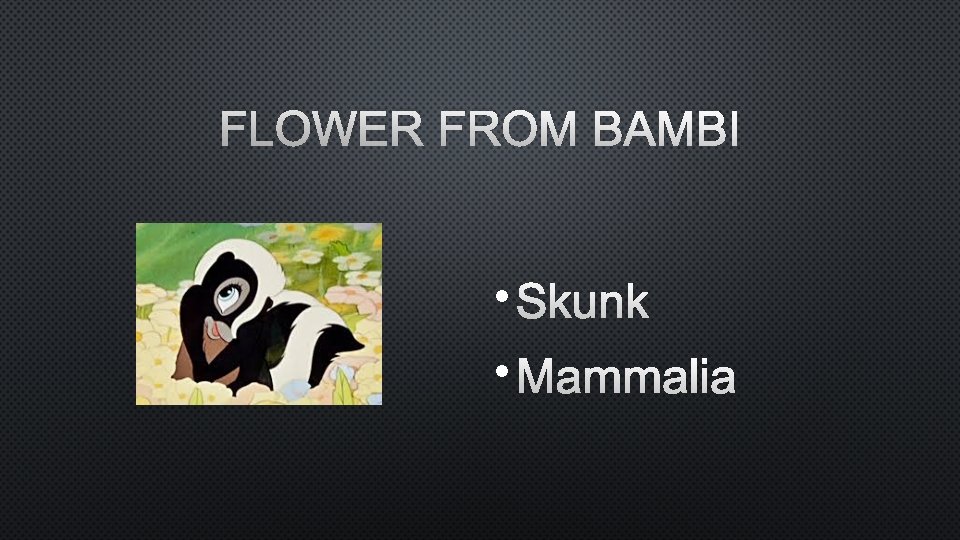 FLOWER FROM BAMBI • SKUNK • MAMMALIA 