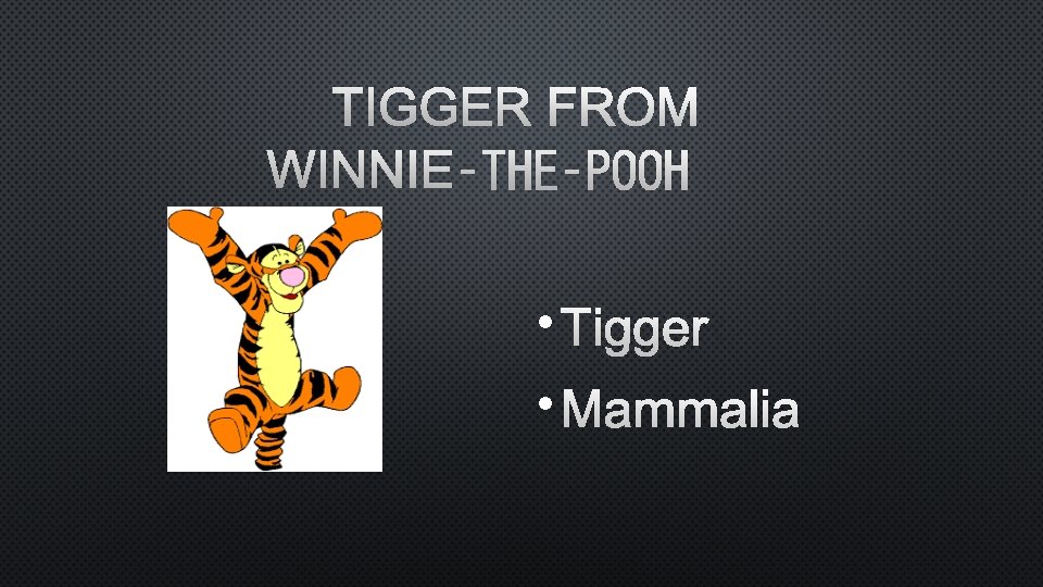 TIGGER FROM WINNIE‑THE‑POOH • TIGGER • MAMMALIA 