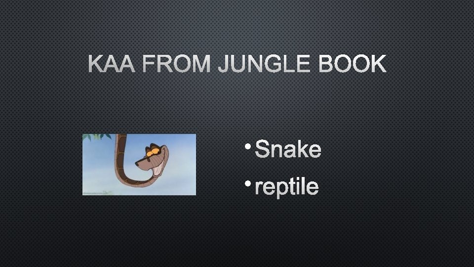 KAA FROM JUNGLE BOOK • SNAKE • REPTILE 