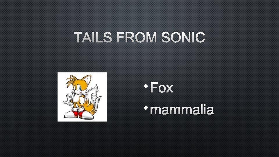 TAILS FROM SONIC • FOX • MAMMALIA 