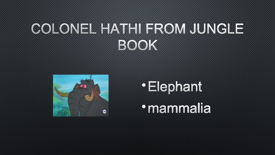 COLONEL HATHI FROM JUNGLE BOOK • ELEPHANT • MAMMALIA 