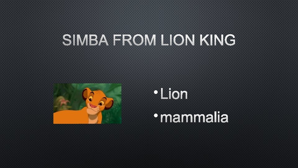 SIMBA FROM LION KING • LION • MAMMALIA 