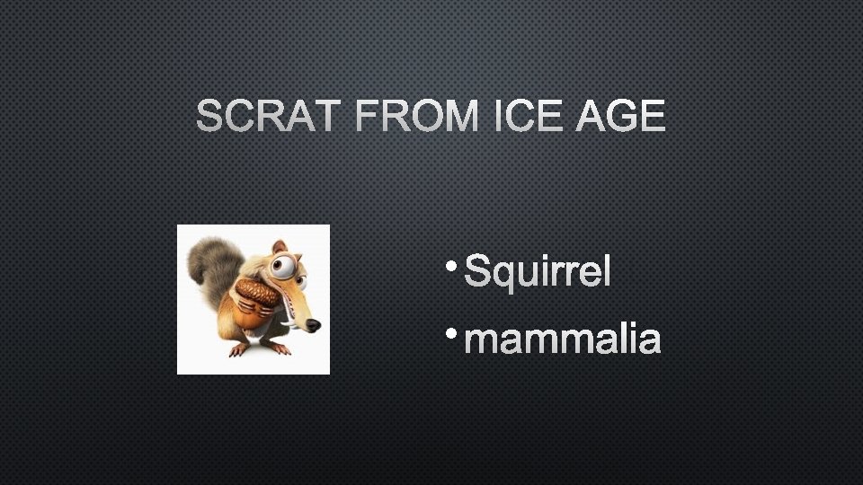 SCRAT FROM ICE AGE • SQUIRREL • MAMMALIA 