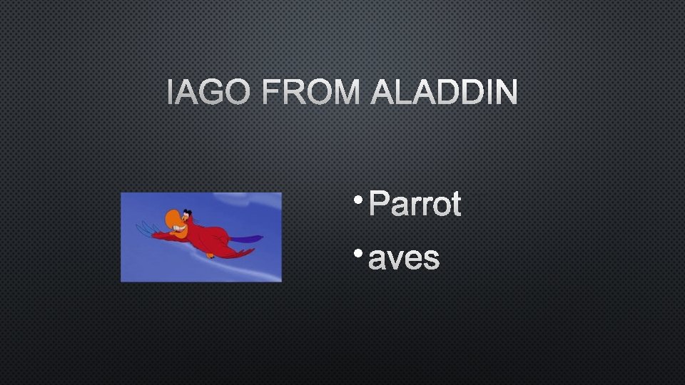 IAGO FROM ALADDIN • PARROT • AVES 