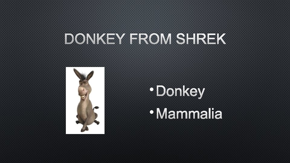 DONKEY FROM SHREK • DONKEY • MAMMALIA 