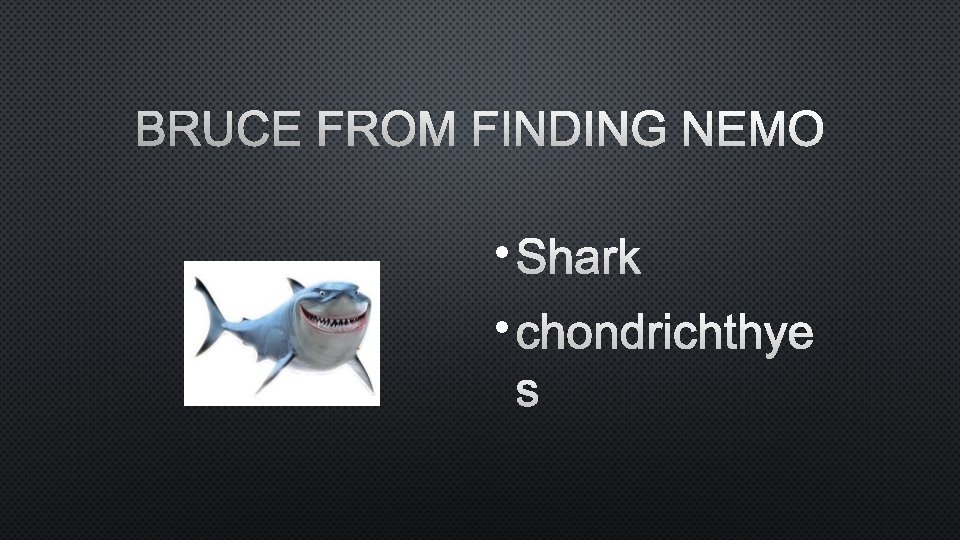 BRUCE FROM FINDING NEMO • SHARK • CHONDRICHTHYE S 