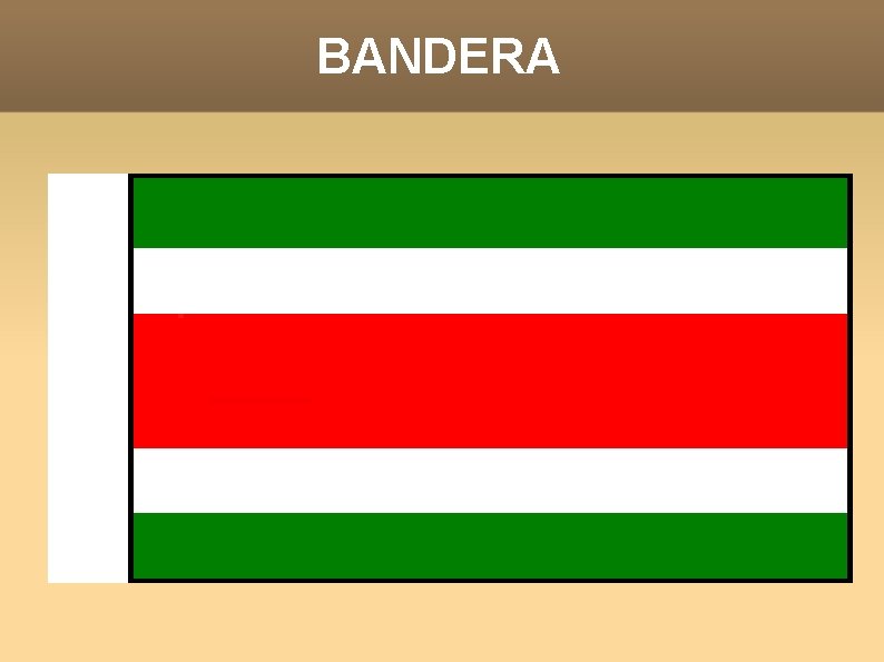 BANDERA 