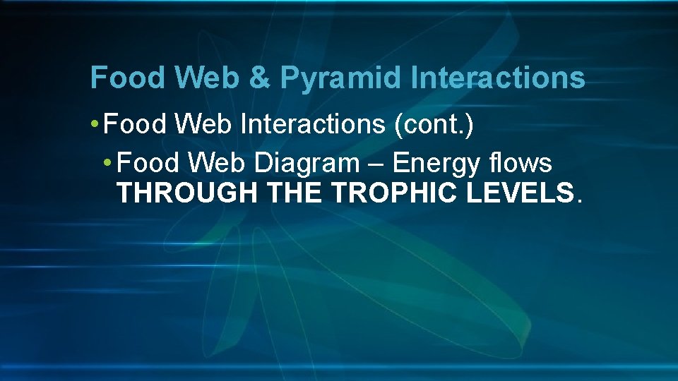 Food Web & Pyramid Interactions • Food Web Interactions (cont. ) • Food Web