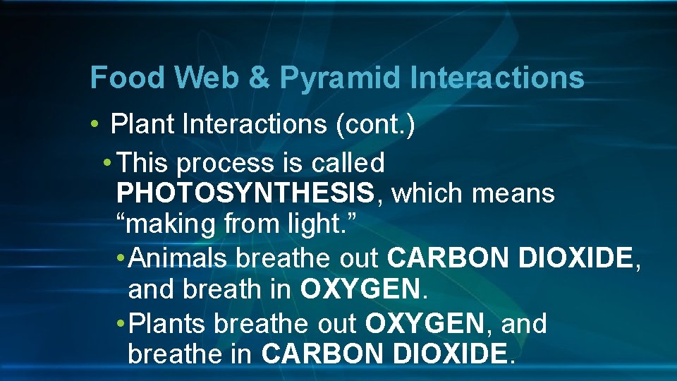 Food Web & Pyramid Interactions • Plant Interactions (cont. ) • This process is