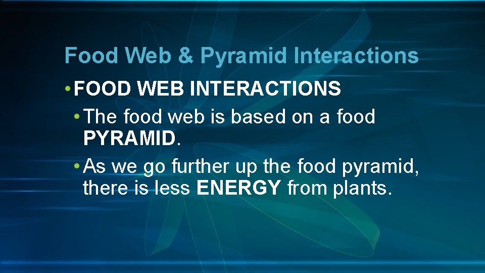 Food Web & Pyramid Interactions • FOOD WEB INTERACTIONS • The food web is