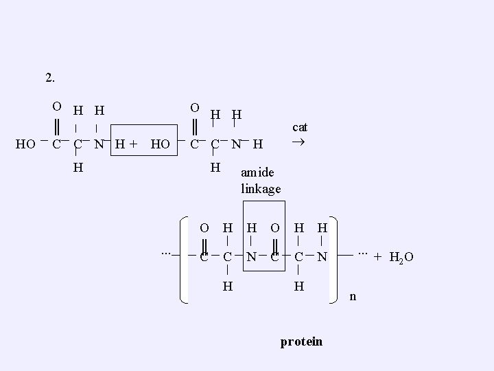 2. HO O H H ║ C C N H + HO O H