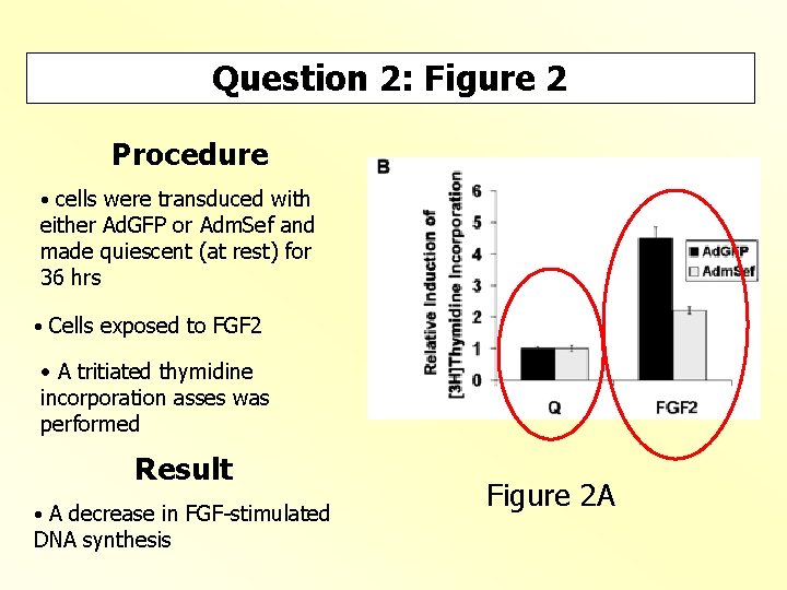 Question 2: Figure 2 Procedure • cells were transduced with either Ad. GFP or