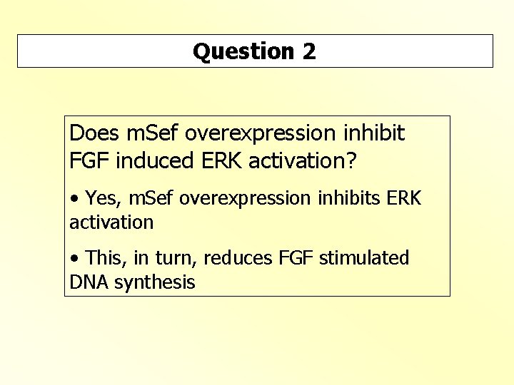 Question 2 Does m. Sef overexpression inhibit FGF induced ERK activation? • Yes, m.